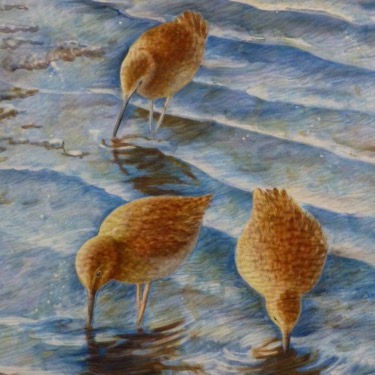 Sandpipers at Ebb Tide by Amy Witherow