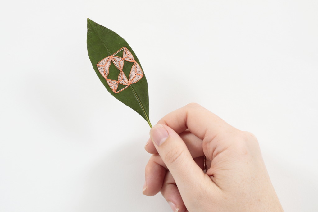 Geometric Perceptions 2