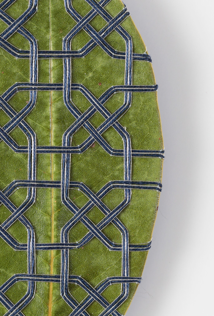 Patterns of Transcendence Detail