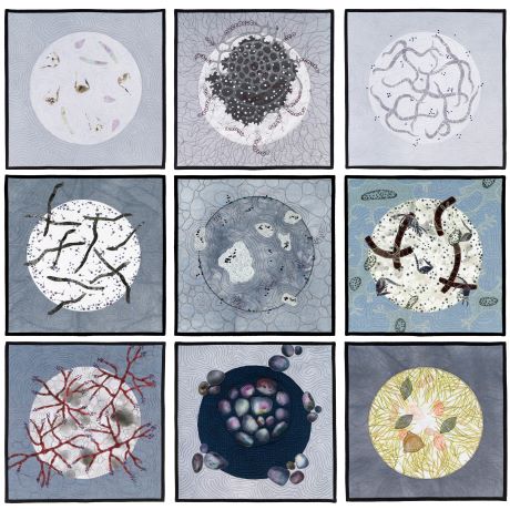 Microbes 9 Patch by Charlotte Bird
