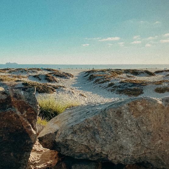 a beach in San Diego