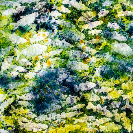 Sea Creatures by Quilts on the Wall