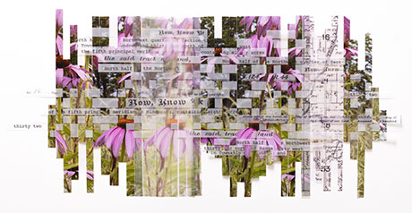 Color Cards 5 by SUULA