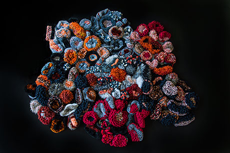 Colorful crocheted coral reef art piece with various textures and shapes against a black background.
