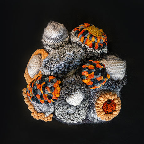 Colorful crocheted coral reef-like sculpture by Marita Setas Ferro with various textured patterns on a black background.