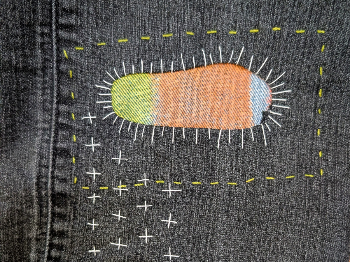 PXL_20260318_160925630~3 Earth day