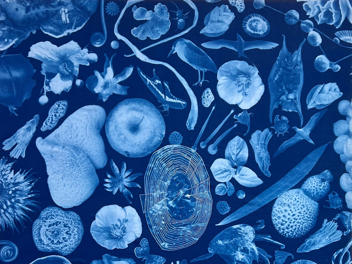 Cyanotype Printing Workshop
