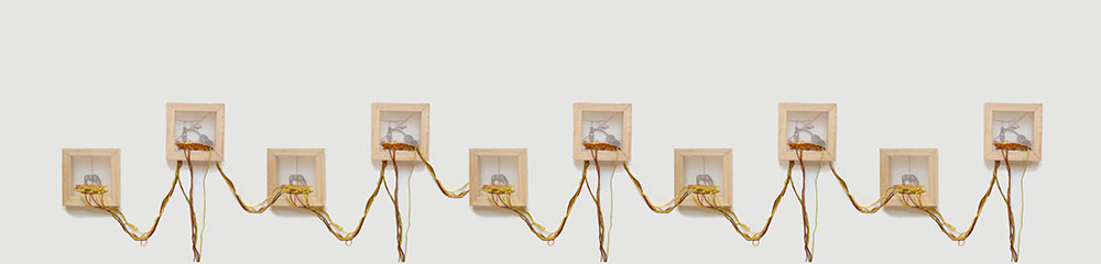 Art installation by Nereida Dusten with ten wooden-framed boxes connected by twisted, string-like wires on a light background. Art installation by Nereida Dusten with ten wooden-framed boxes connected by twisted, string-like wires on a light background.