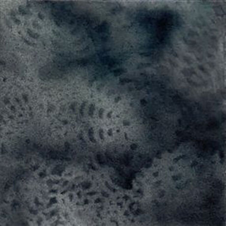Palimpsest Doily Fragment #1_Ashley V Blalock460 Ashley V. Blalock