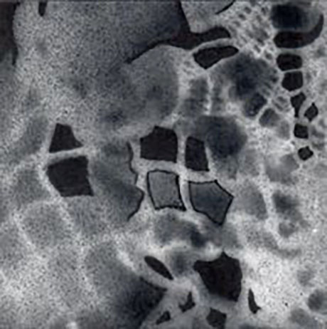 Palimpsest Doily Fragment #2_Ashley V Blalock460 Ashley V. Blalock