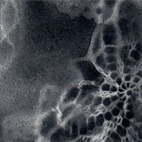 Palimpsest Doily Fragment #3_Ashley V Blalock460 Ashley V. Blalock