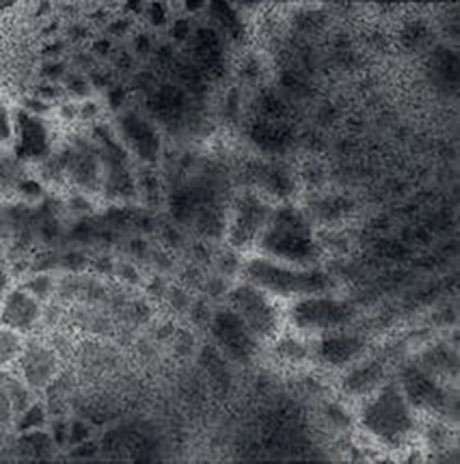 Palimpsest Doily Fragment #5_Ashley V Blalock460 Ashley V. Blalock