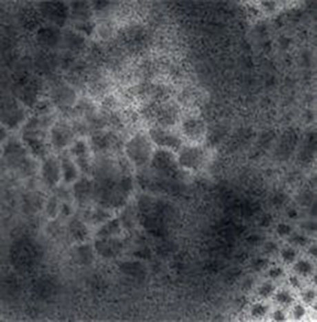 Palimpsest Doily Fragment #6_Ashley V Blalock460 Ashley V. Blalock