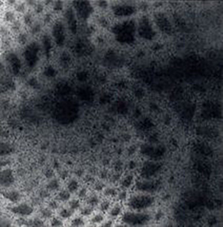 Palimpsest Doily Fragment #8_Ashley V Blalock460 Ashley V. Blalock
