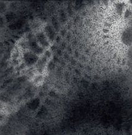 Palimpsest Doily Fragment #9_Ashley V Blalock460 Ashley V. Blalock